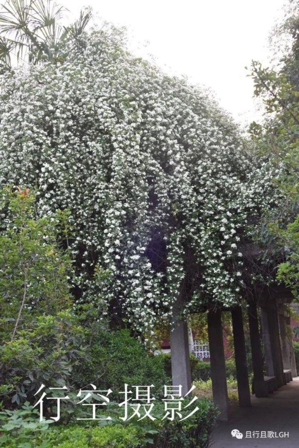 石雕师怎么考？报考难度大吗？含金量高吗？