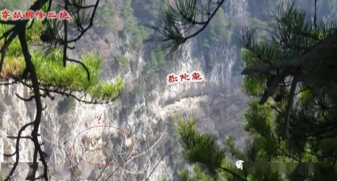 《炙爱之战》冠军奖金有多少？能买杭州一套房，帮运动员自费比赛