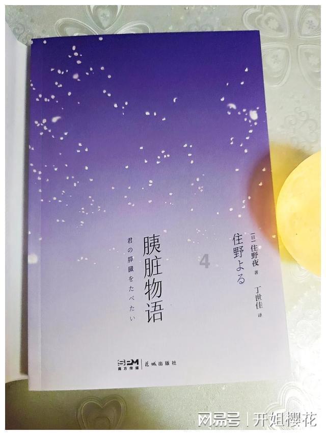 快乐游乐园女孩